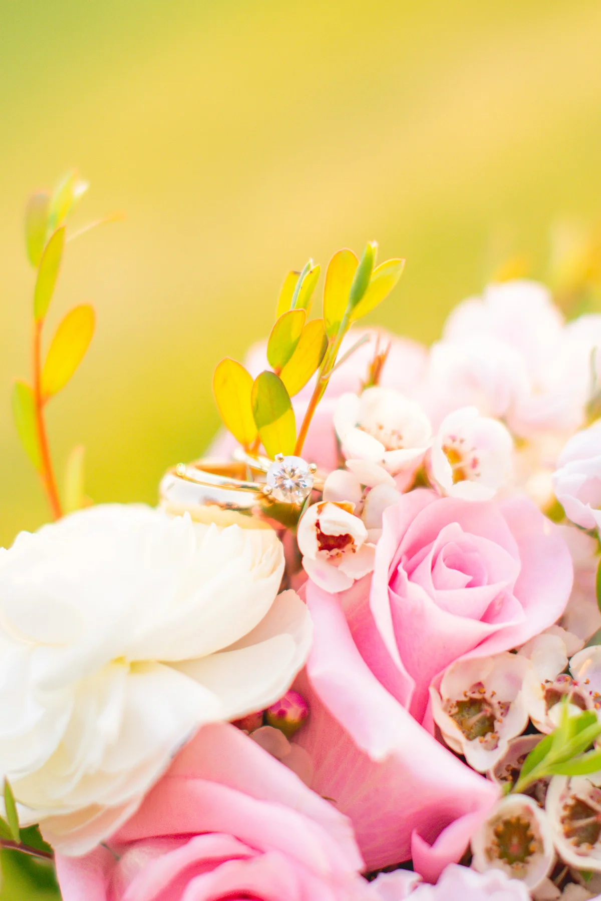Couples & weddings portrait by A & K Photography